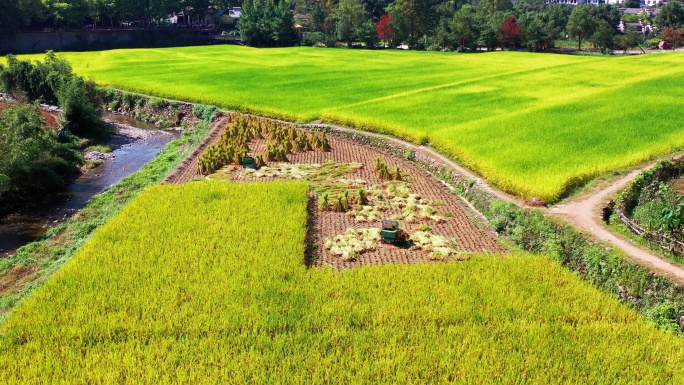 浙江天台山，国清寺，国清景区