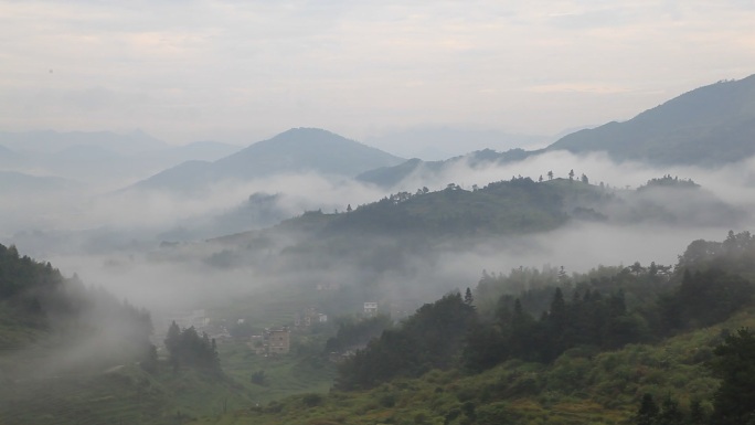 高清云雾缭绕山间清晨黄姜生长环境