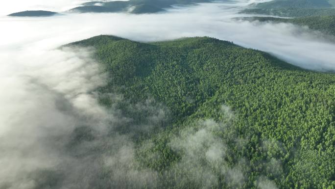 航拍山川绿色林海晨雾