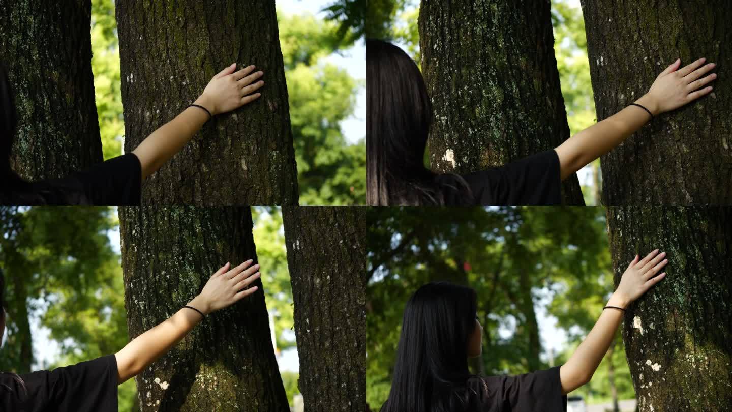 女孩手抚摸树木