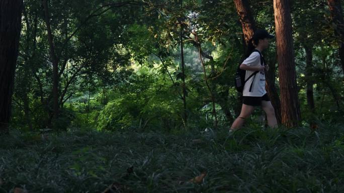一个人在树林里行走