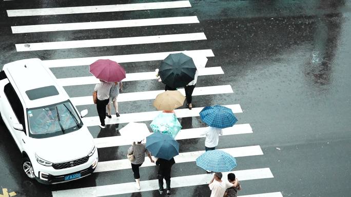 过马路 雨天 行人 车流 斑马线