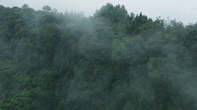 青山薄雾秋天自然航拍风景美丽大山雾气飘渺