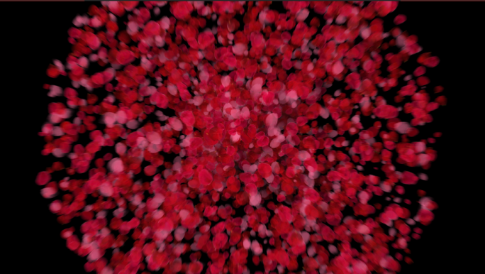 8K透明通道花瓣爆炸转场素材