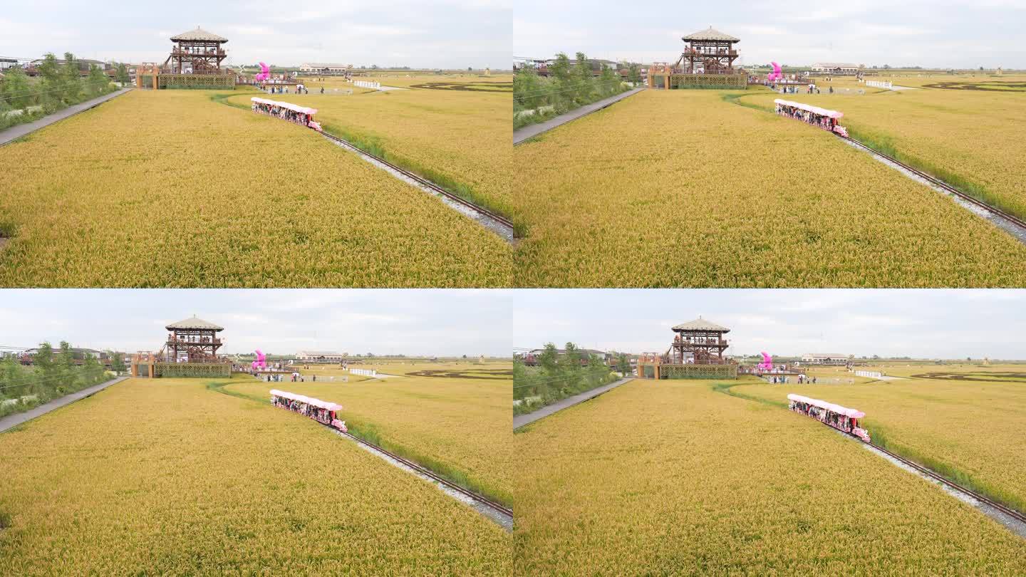 辽宁盘锦红海滩景区水稻丰收