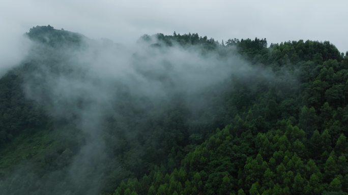 青山薄雾秋天自然航拍风景美丽大山雾气飘渺