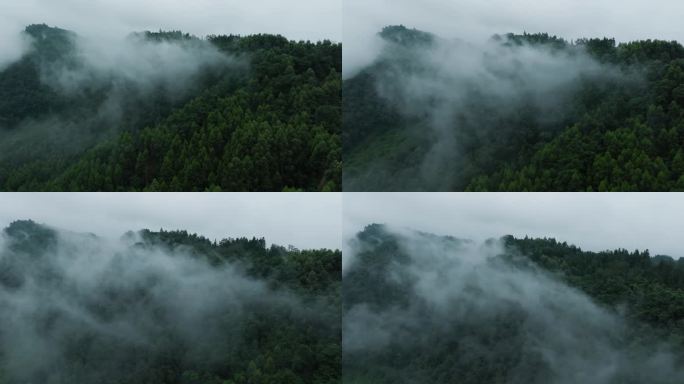 青山薄雾秋天自然航拍风景美丽大山雾气飘渺