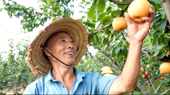 各行各业丰收笑脸 农民笑脸