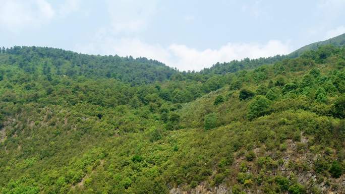 滇东高原土地管理林业规划