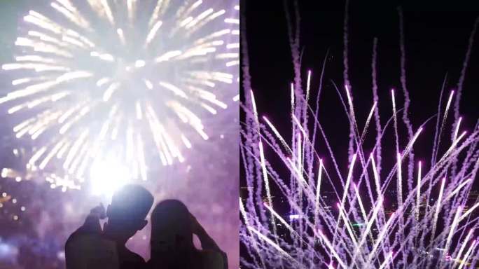 航拍荷兰花海夜游竖版烟花秀