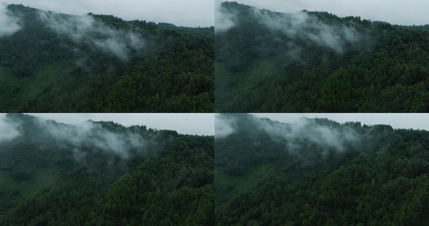 云雾山野航拍风景薄雾飘在空中