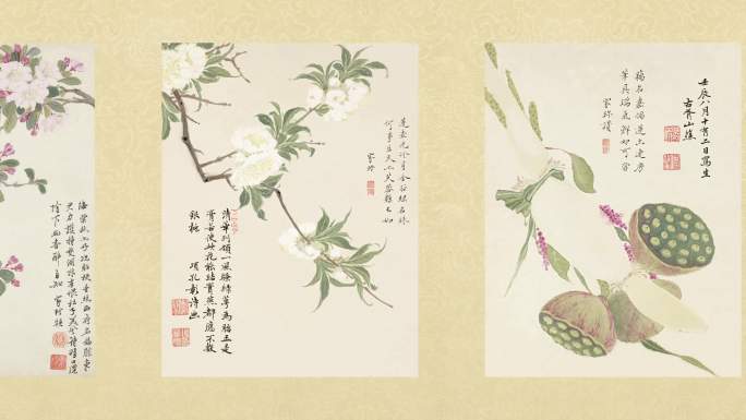 【含ae工程】明 项圣谟 花卉十开