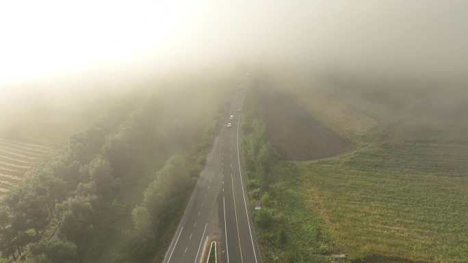 晨雾中国道上行驶的汽车