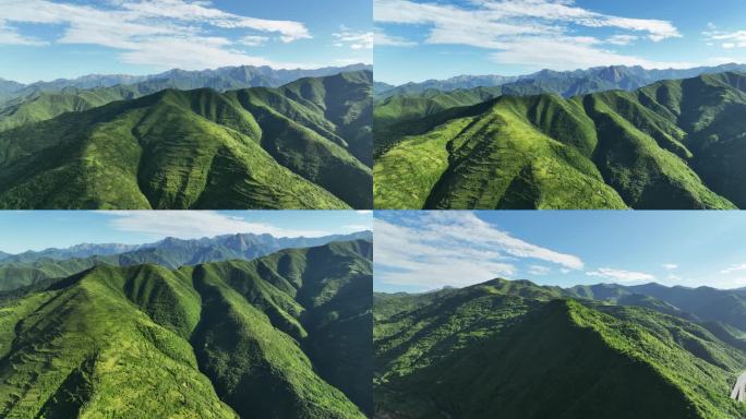 青山山峰航拍