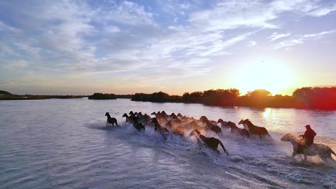 天马浴河