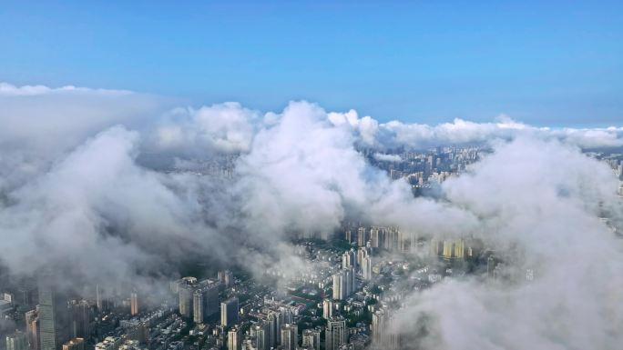 【4K】深圳罗湖区城市清晨云雾航拍