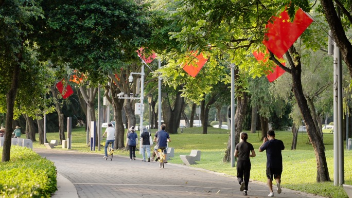 国庆国旗飘扬城市街道国庆氛围