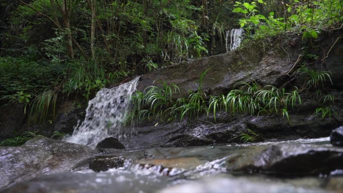 瀑布溪流水源自然森林慢镜头