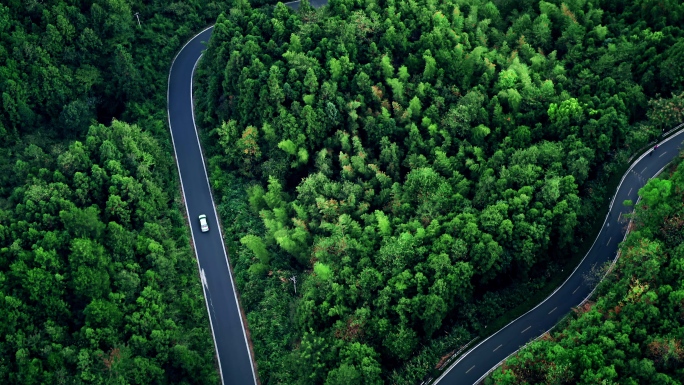 【4K】森林公路上行驶的车辆