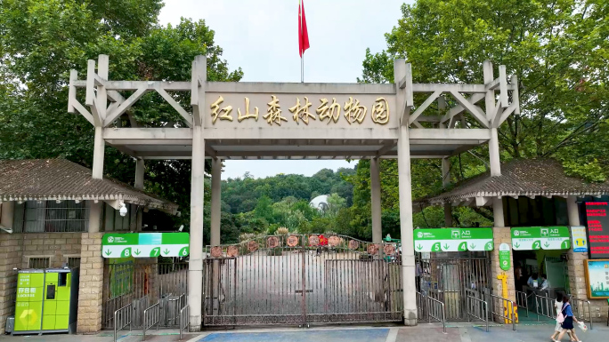 南京红山森林动物园 长颈鹿 大象 考拉