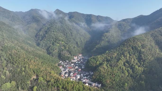 航拍浙江山区竹林竹山竹海山村早晨云雾同山