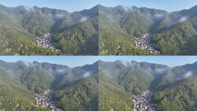 航拍浙江山区竹林竹山竹海山村早晨云雾同山