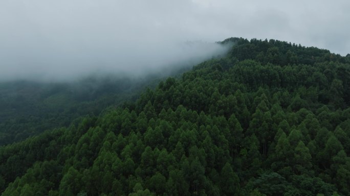 青山薄雾秋天自然航拍风景美丽大山雾气飘渺