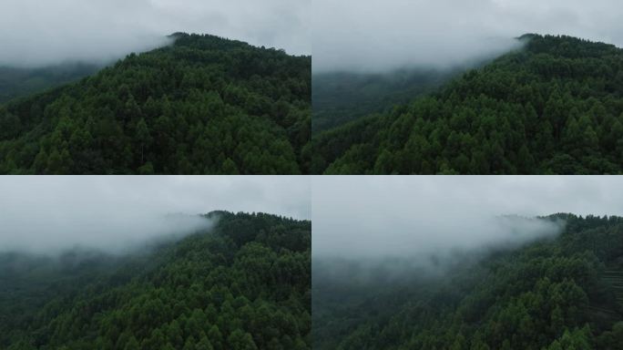 青山薄雾秋天自然航拍风景美丽大山雾气飘渺
