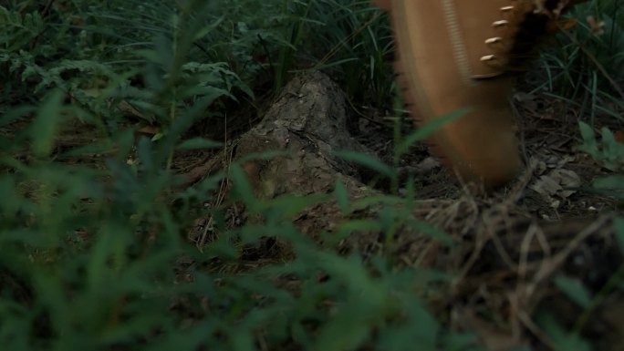 野外郊游，登山探险