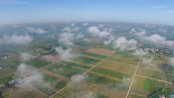 南阳镇平乡村晨雾720VR全景4K高清