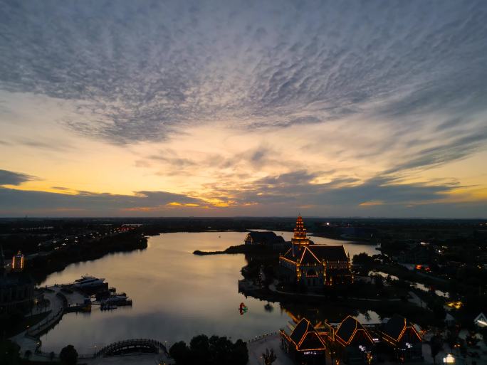 花海夜景延时