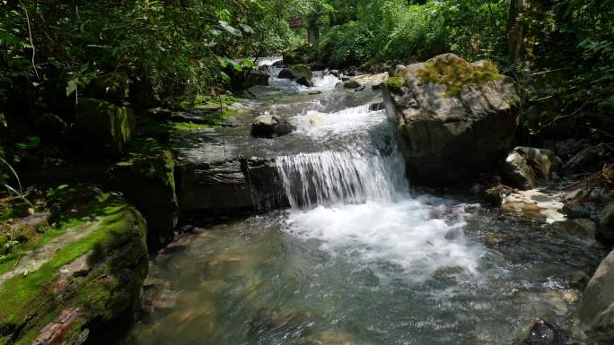 原始森林山泉水流河流溪水