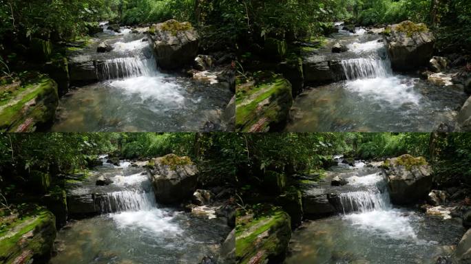 原始森林山泉水流河流溪水