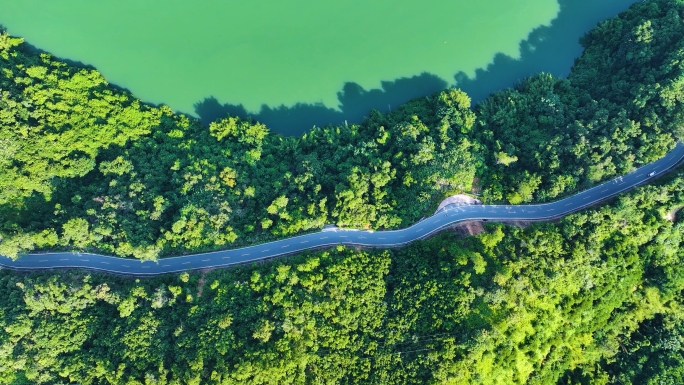 乡村山路行驶汽车