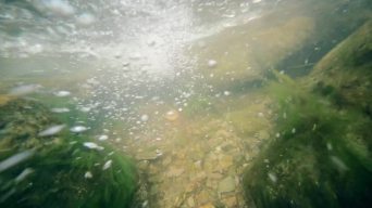 水流泡泡水藻合集03视频素材包