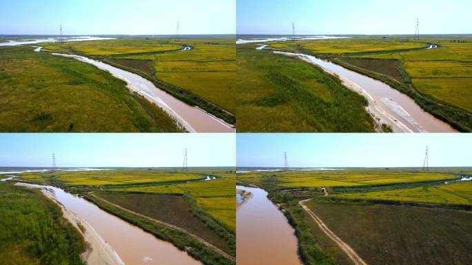 黄河航拍平原湿地滩地河道治理