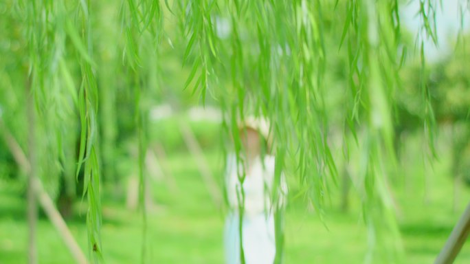 夏日 垂柳 阳光 微风 女性10