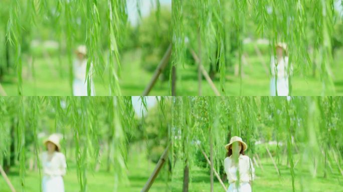 夏日 垂柳 阳光 微风 女性10