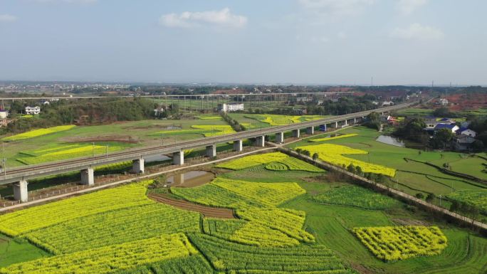 油菜花地高铁航拍