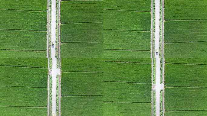 行驶在乡间小路上的汽车