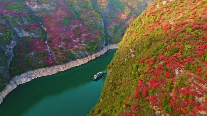 航拍长江三峡红叶