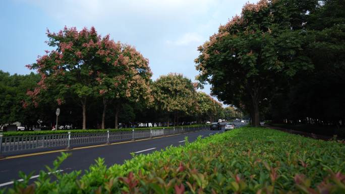 4K秋天景色的城市道路车流延时摄影5