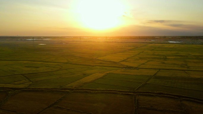 万亩稻田秋天黄昏落日-平原夕阳航拍