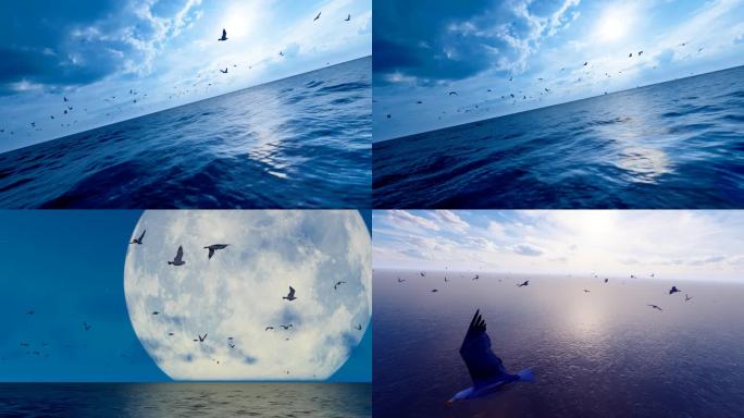 在海面自由翱翔的海鸥群