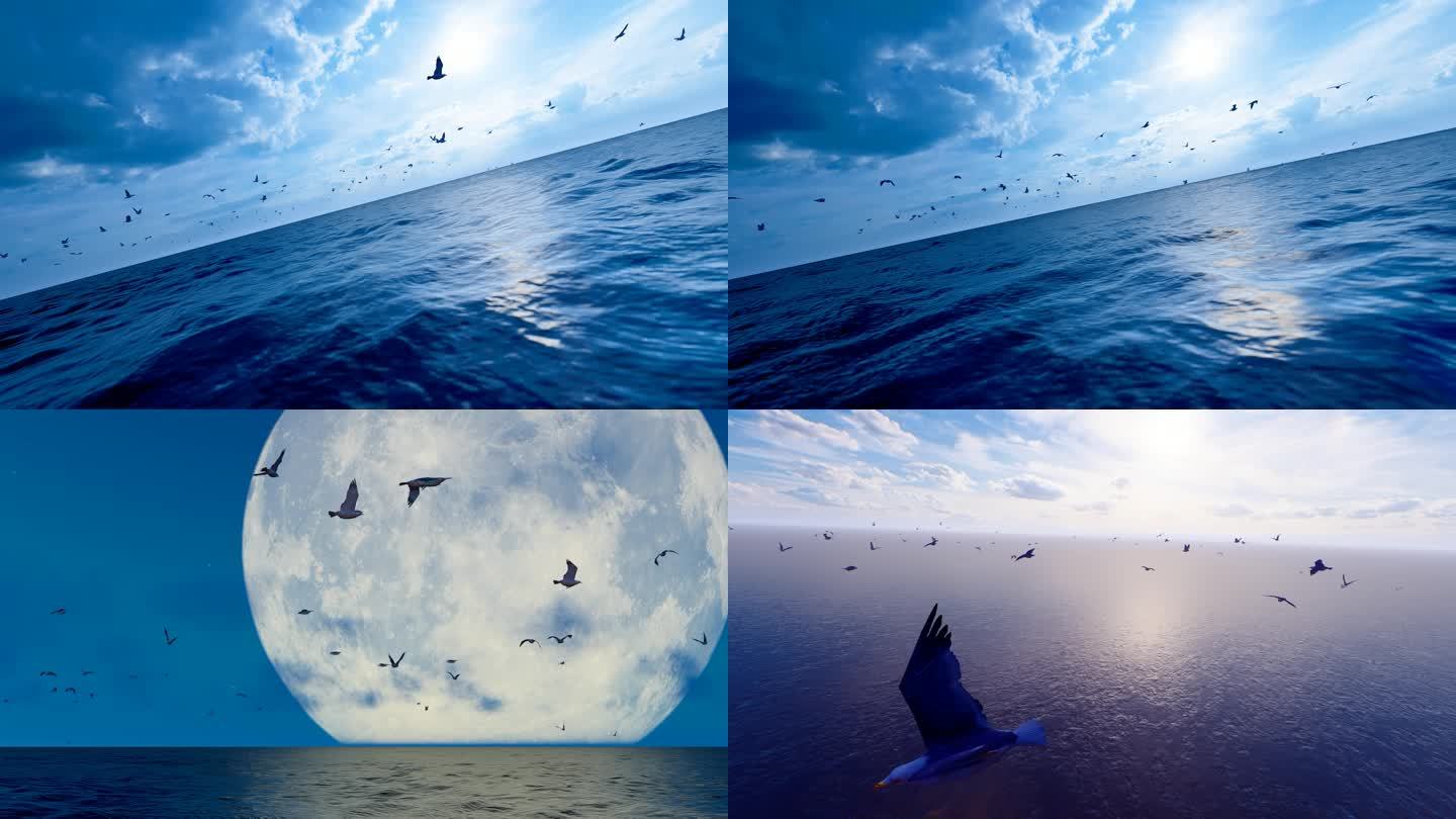 在海面自由翱翔的海鸥群