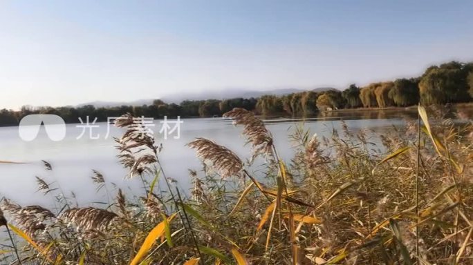 【4k】自然风景，湖边景色， 芦苇湖泊