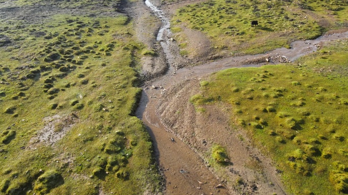 草原上蜿蜒曲折的溪流