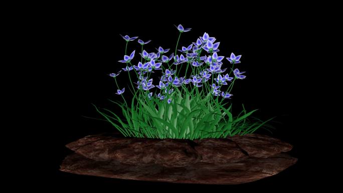 蓝色花草，带透明通道，三D渲染
