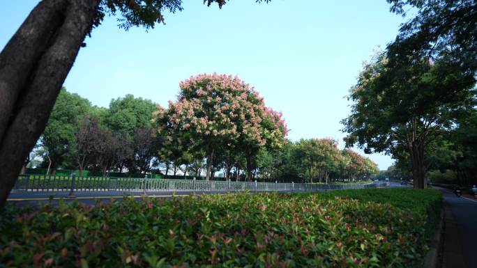 4K秋天景色的城市道路车流延时摄影3