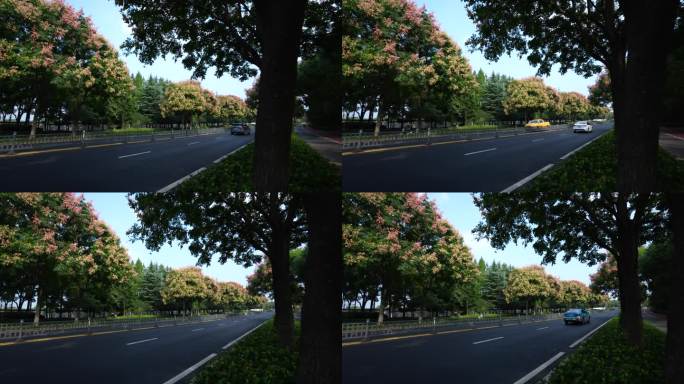 4K秋天景色的城市道路车流延时摄影4